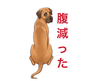 880888736