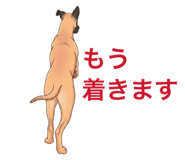 880888739