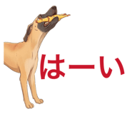 880888744