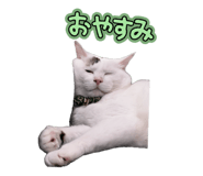 880888969