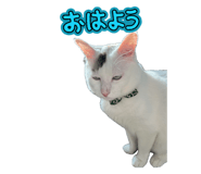 880888970