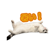 880888973