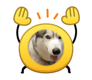 880889255