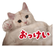 880889697