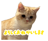 880889699