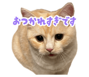 880889704