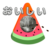 880890023