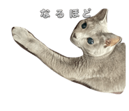 880890024