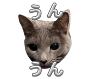 880890025
