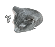 880890031