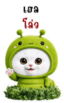 880890081