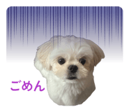 880890150