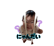 880890243