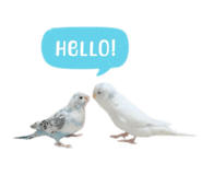 880892715