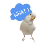 880892719