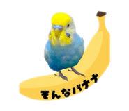880892722