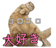 880894389