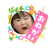 880894558