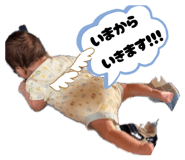 880894575