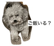 880894580