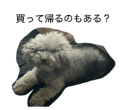 880894582