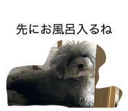 880894588
