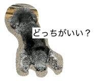 880894591