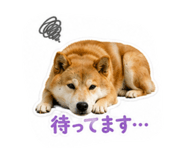 880895516