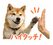 880895534
