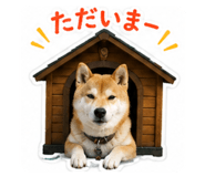 880895541