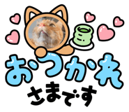 880896501