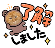 880896502