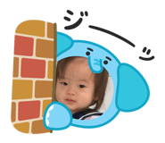 880896806