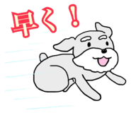 88089697
