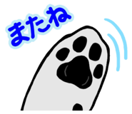 88089720