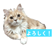 880897218