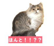 880897223