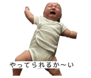 880900242
