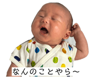 880900244
