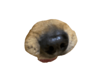 880901934