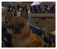 880902101