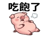 880935335