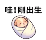 880936345