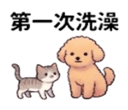 880936364