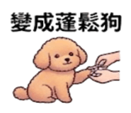 880936365