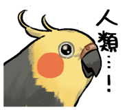 880938161