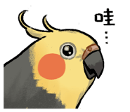 880938162