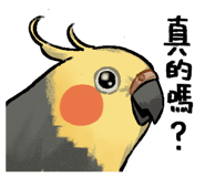 880938163