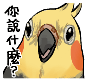880938173