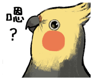 880938181